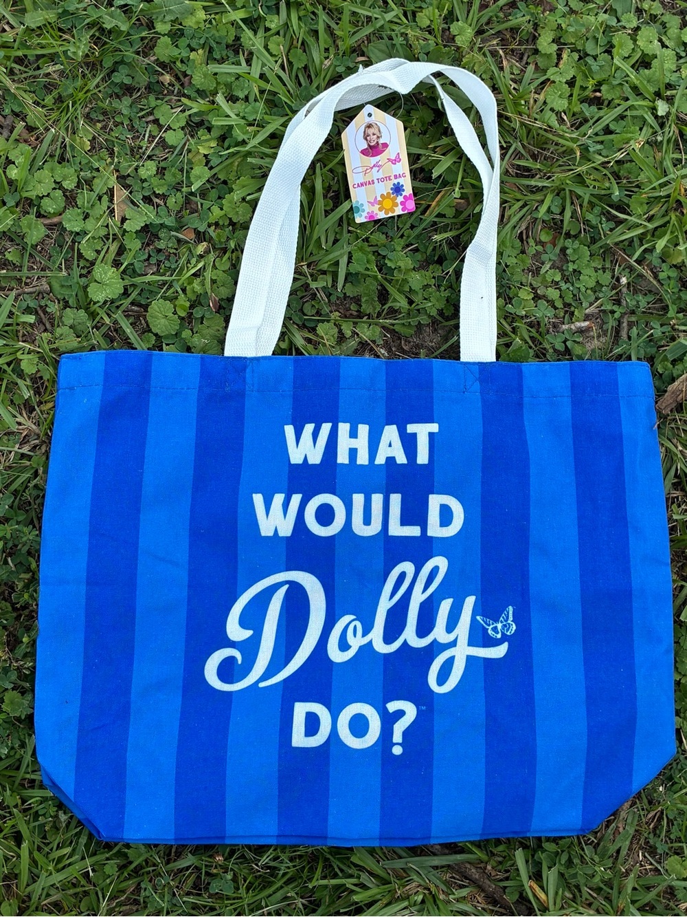 Dolly Parton Tote Bag Blue Canvas bag NWT What Would Dolly Do Dollywood souvenir